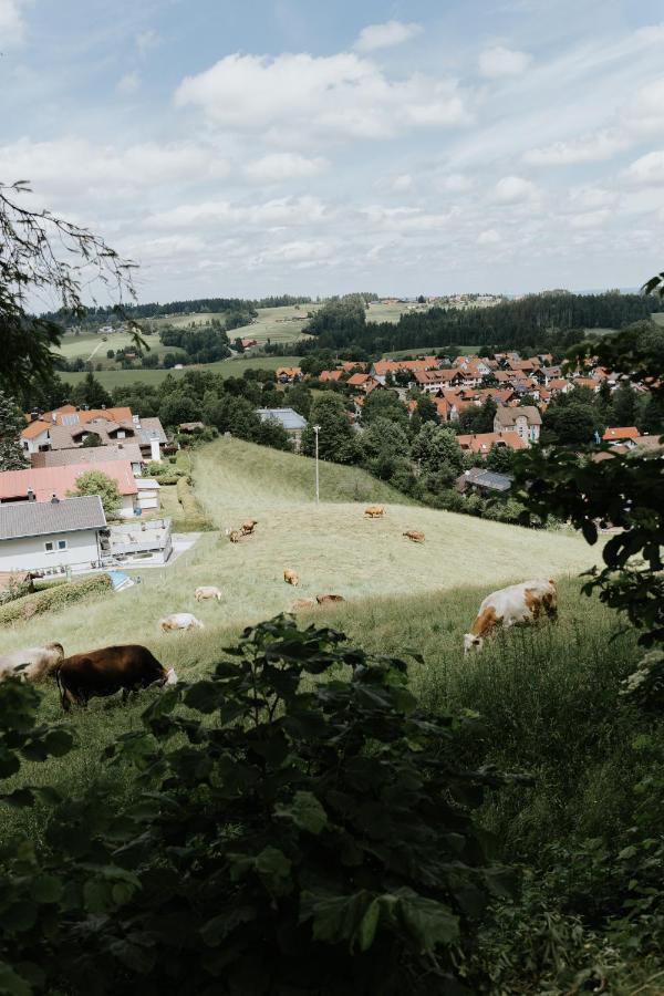 Ferienwohnung Alpenblick I Kamin I Private Sauna Wangen im Allgäu Zewnętrze zdjęcie