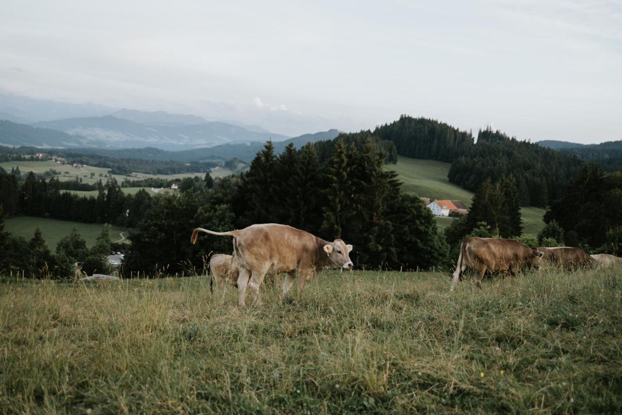 Ferienwohnung Alpenblick I Kamin I Private Sauna Wangen im Allgäu Zewnętrze zdjęcie